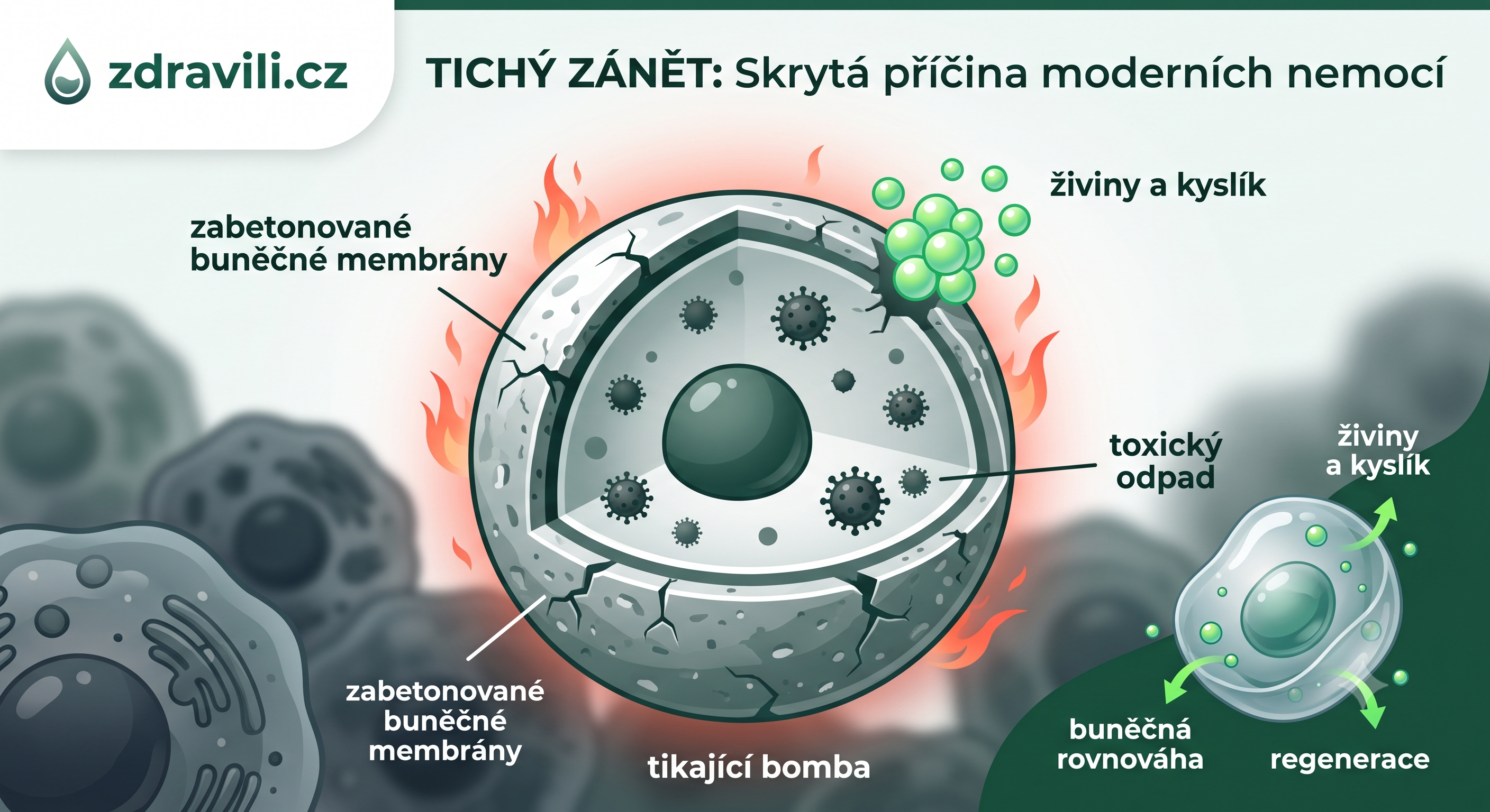 Detail schématu ohrožené buňky